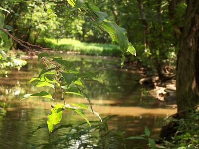 MLF's hot tub on location in TN
