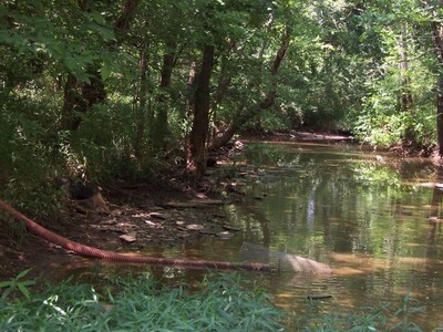 Halfling Swimming Pond

