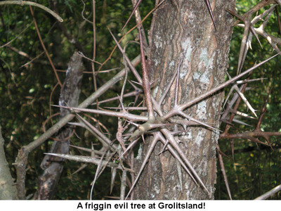 EvilTree.jpg