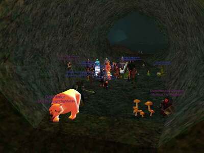 Fungus Grove Ring Quest
